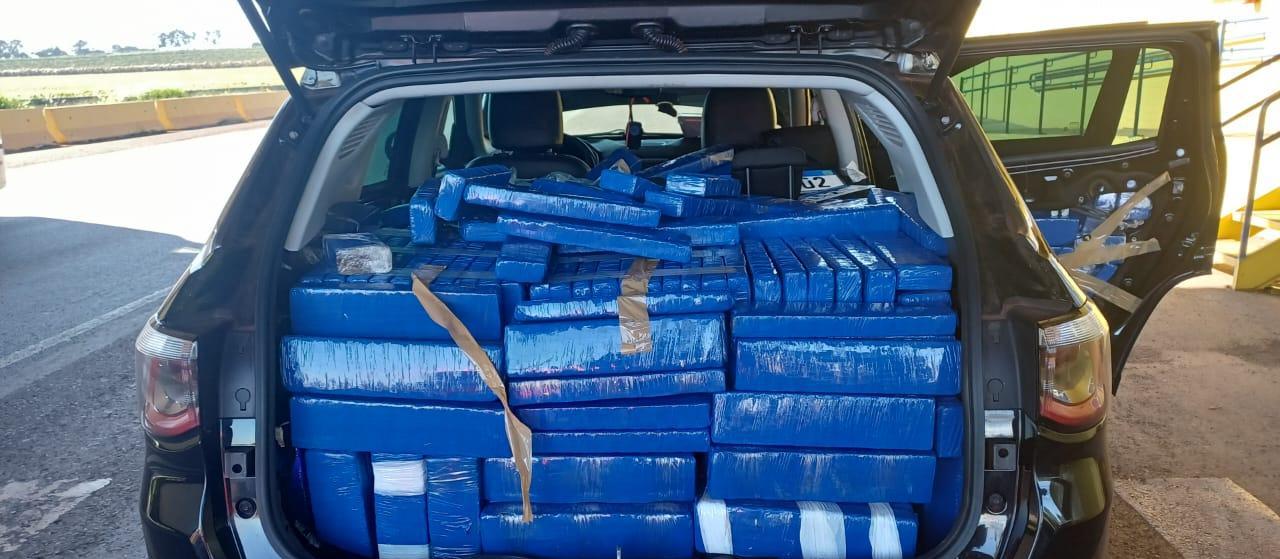 PRF apreende quase uma tonelada de maconha em Mandaguari