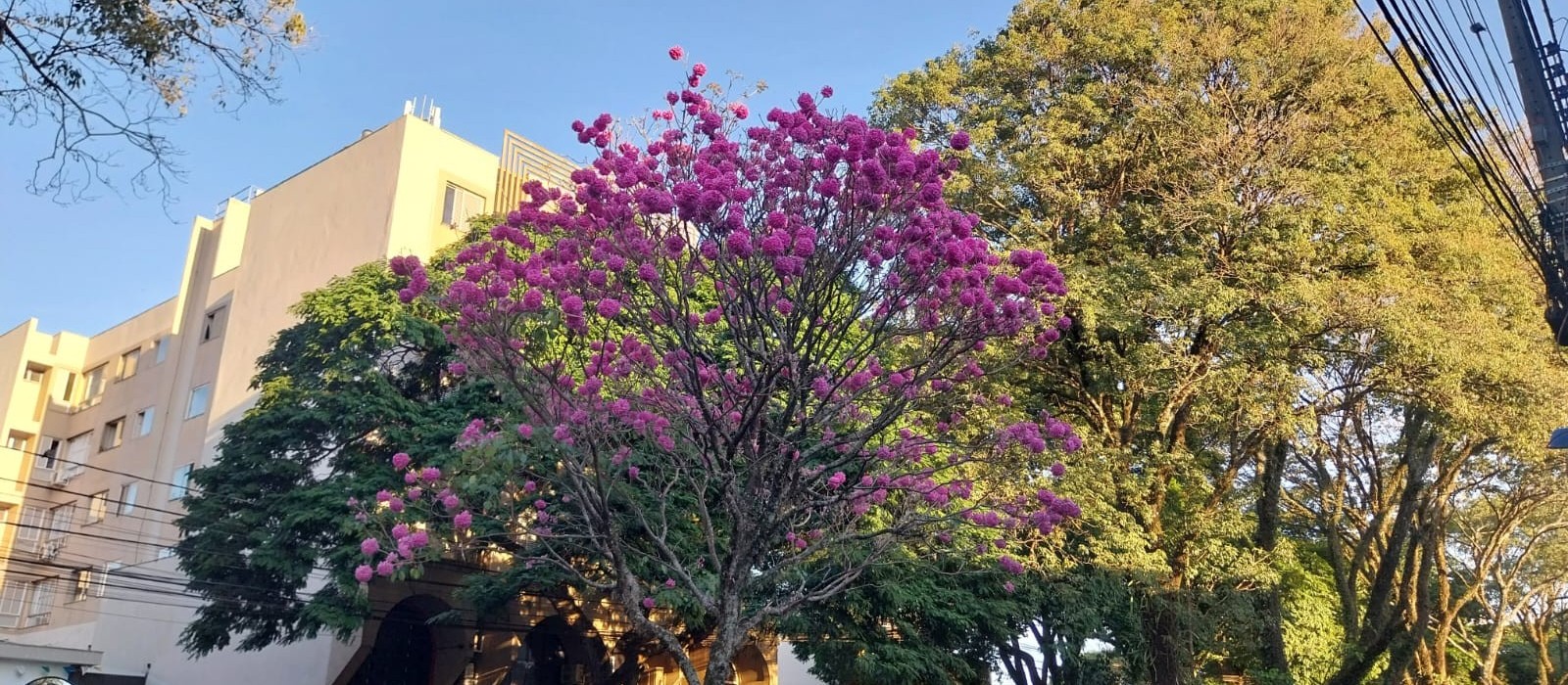 Confira a previsão do tempo para este domingo (16)