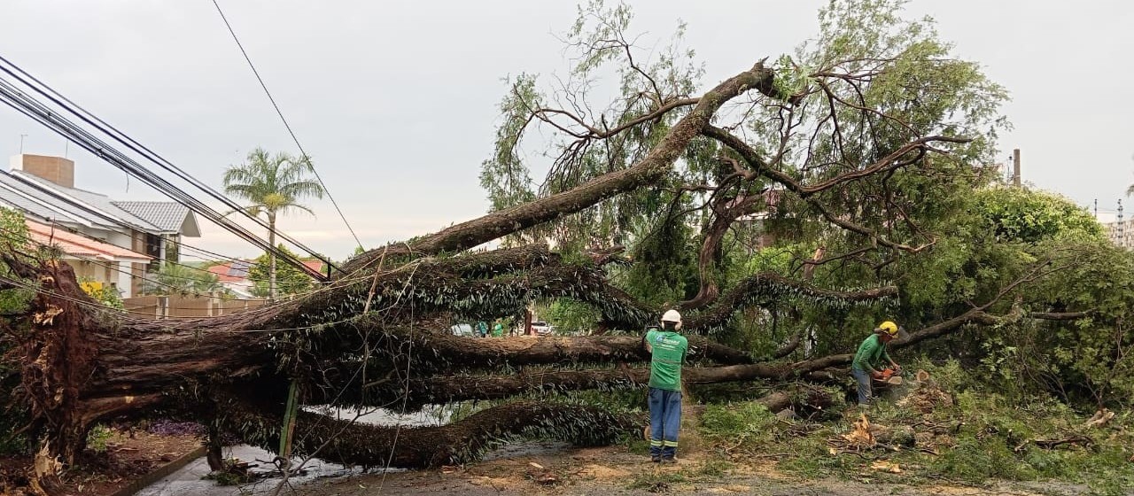 Temporal atinge Campo Mourão e deixa estragos