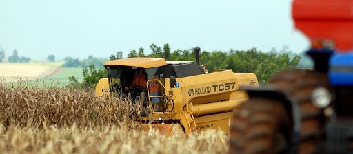 Com bom aspecto, lavouras devem confirmar as estimativas de produção 