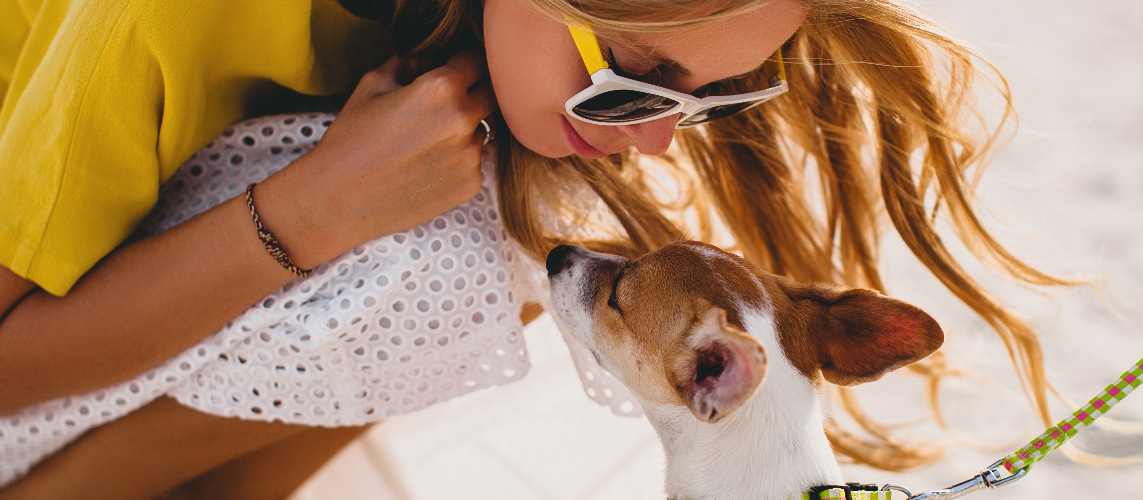 Confira dicas para cuidar melhor dos pets em dias quentes