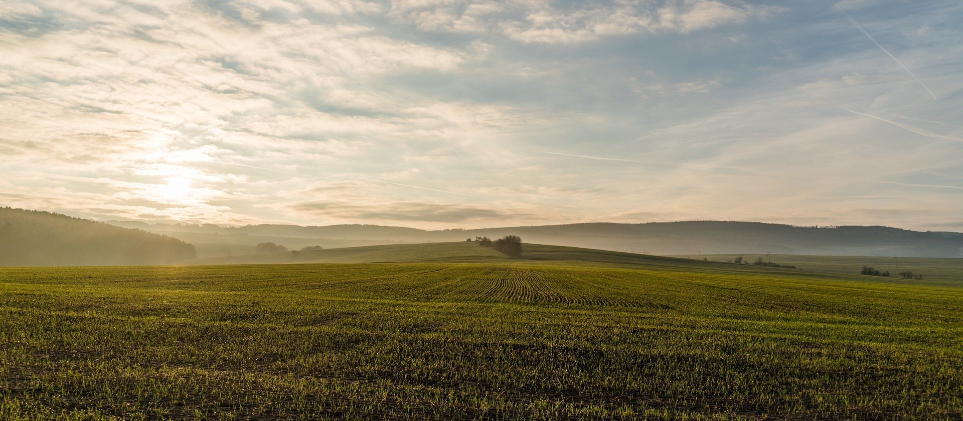 Paraná tem maior área com potencialidade agrícola