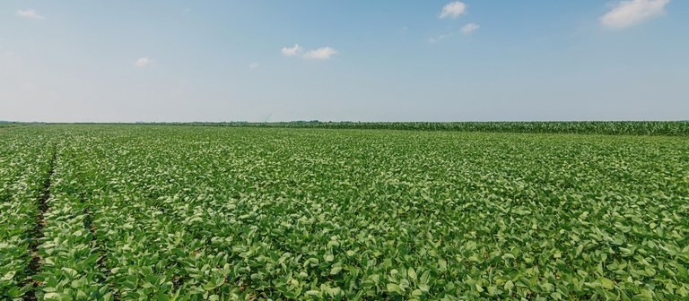 Medida Provisória do Agro é sancionada e vai facilitar acesso ao financiamento rural