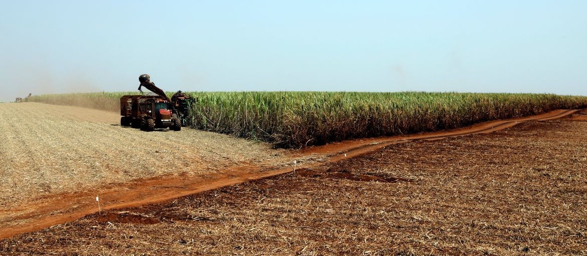 Produção agrícola retraiu em 2021, aponta IBGE