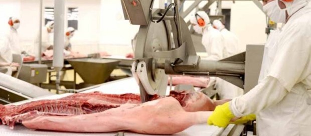 Carne suína tem alta no preço na região de Maringá