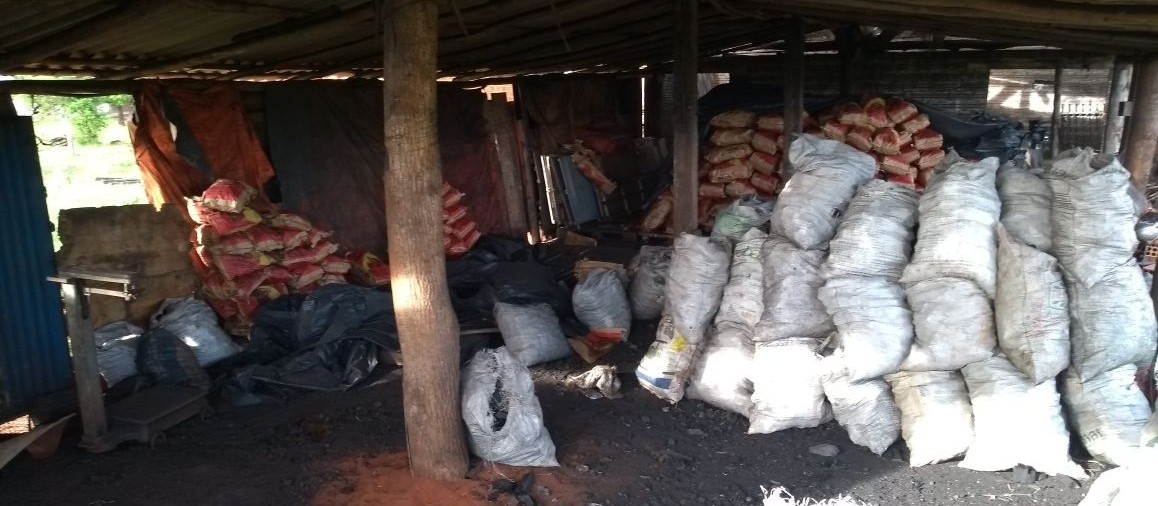 Polícia Ambiental apreende fornos de carvão vegetal 