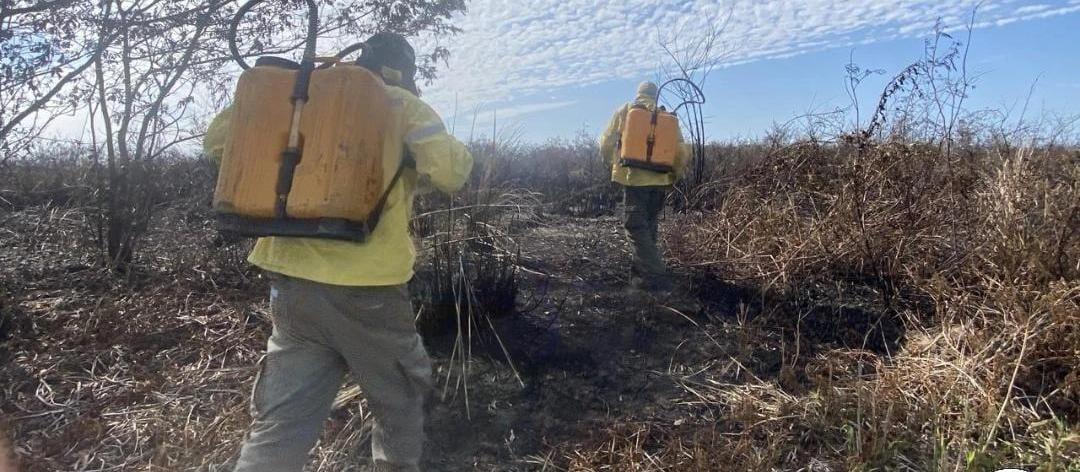 ICMBio informa que incêndio em Ilha Grande está sob controle