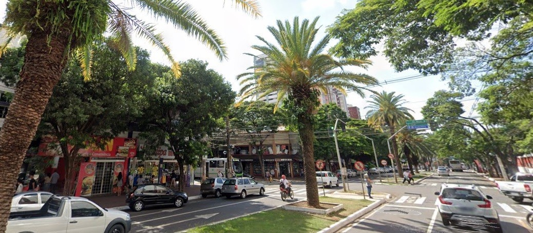 ‘Floresta urbana’ de Maringá cria identidade visual e chama atenção pela beleza