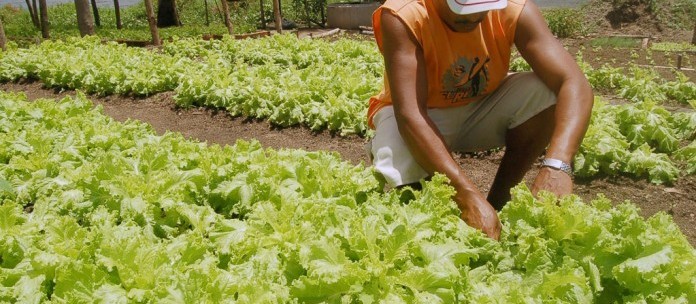 Parceria entre sindicatos rurais e produtores