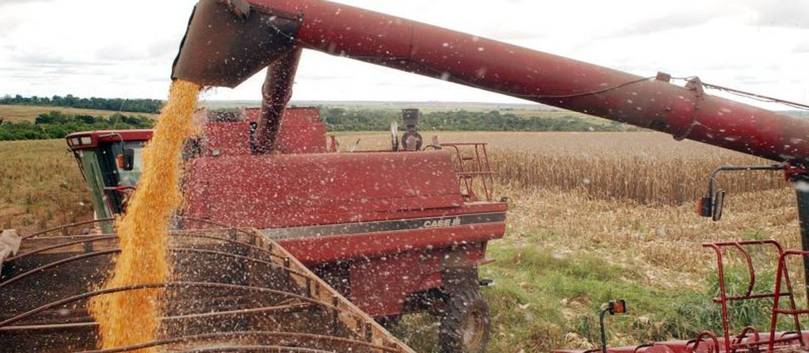 Área agrícola segurada no Brasil alcança recorde