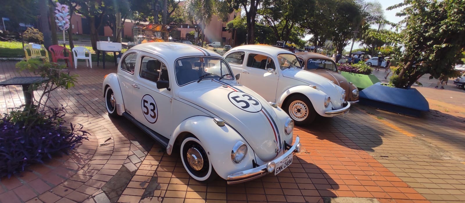 Domingo é dia de visitar mais de 500 carros antigos em Maringá