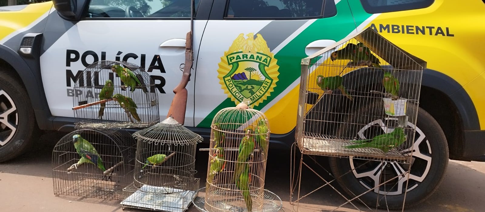 Mulher é presa por manter aves silvestres em cativeiro