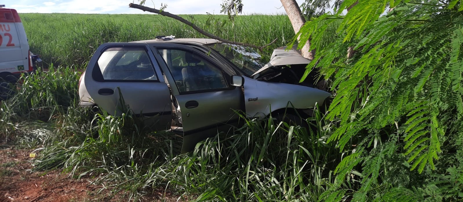 Condutor morre após bater carro contra árvore na PR-542