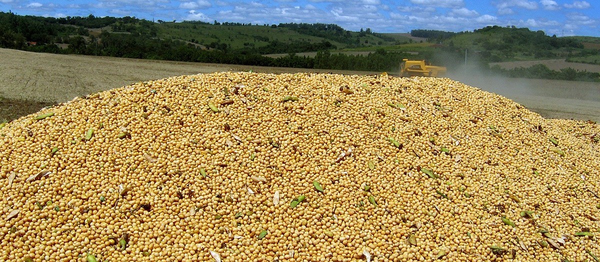 Greve dos caminhoneiros prejudica comercialização de produtos agrícolas