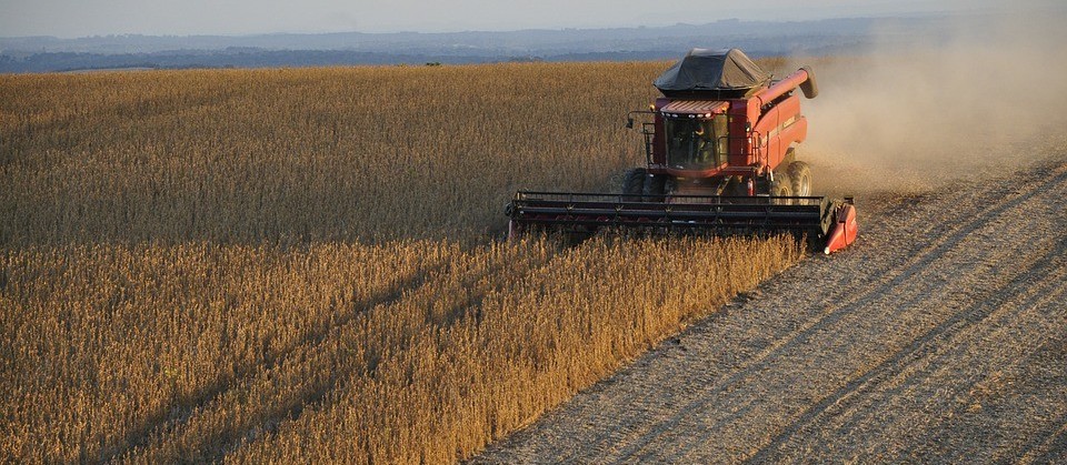 Clima está favorável para a soja mas atrapalha trabalhos no campo