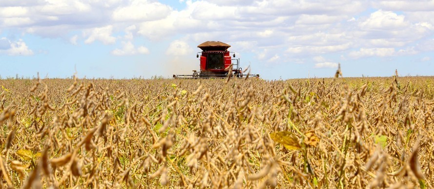 Agro lidera criação de empregos em 2020, aponta CNA