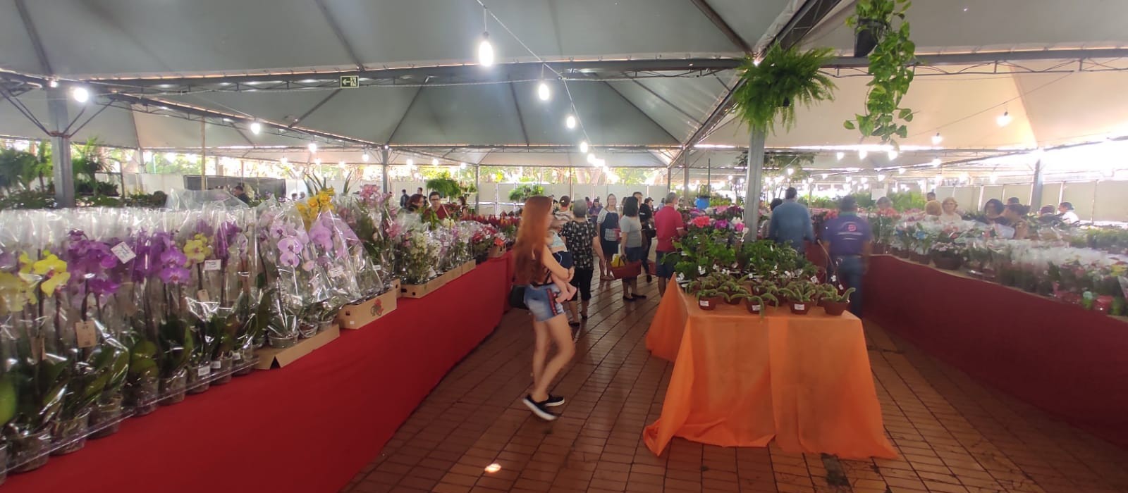 Feira comercializa mais de 130 espécies de flores em Maringá 