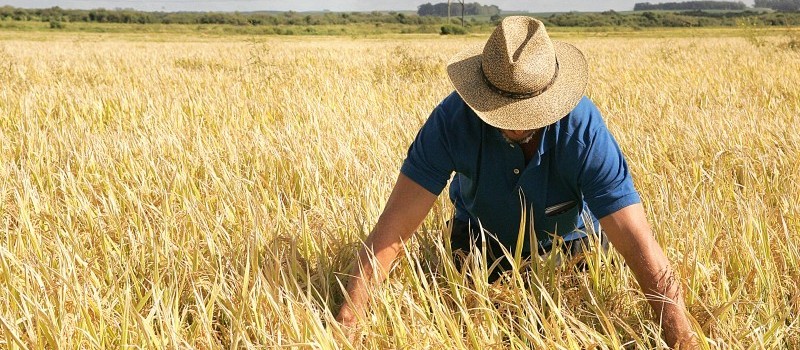 Movimentação no campo aumenta