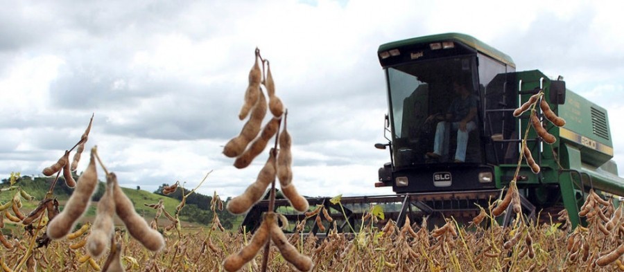 Saca da soja custa R$ 69 em Maringá