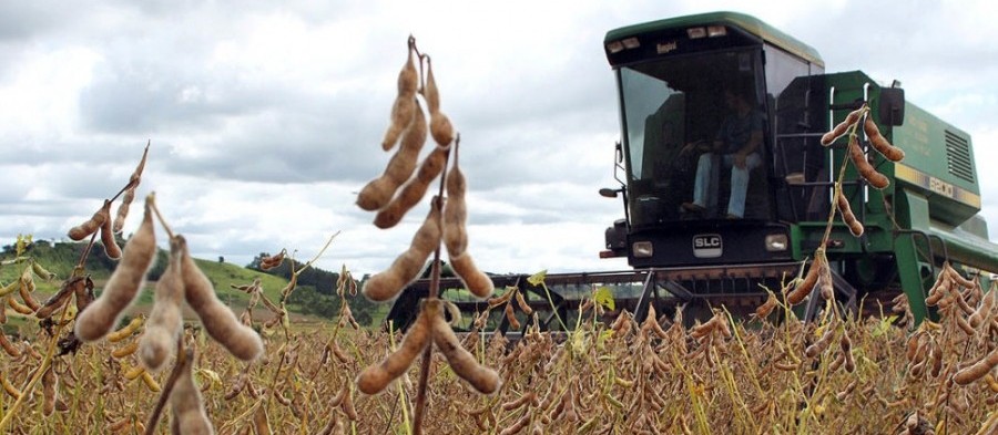 Soja custa R$ 72,50 a saca em Maringá