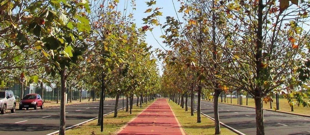 Segunda-feira (25) será de tempo estável e calor em Maringá