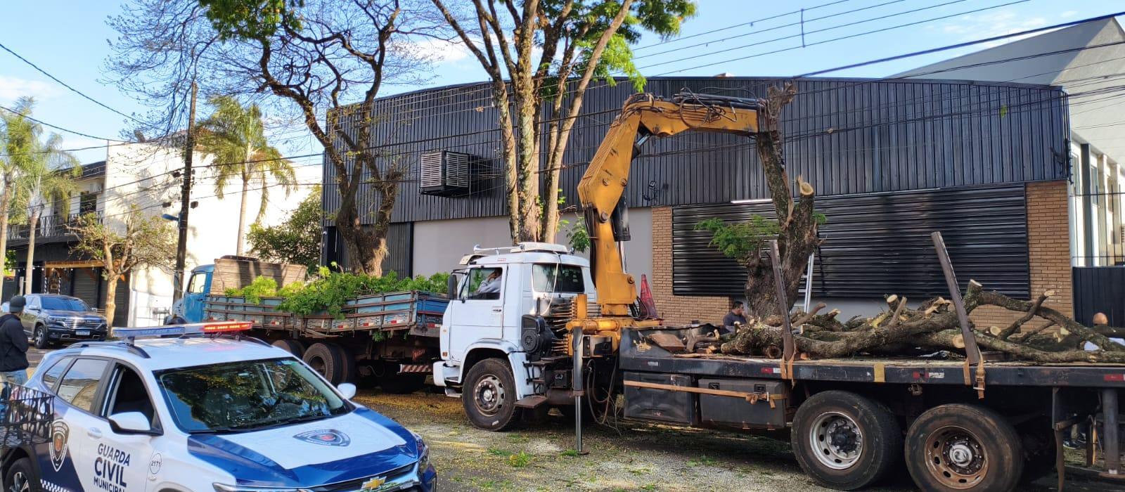 Guarda Municipal prende homens por crime ambiental e recupera placas de bronze