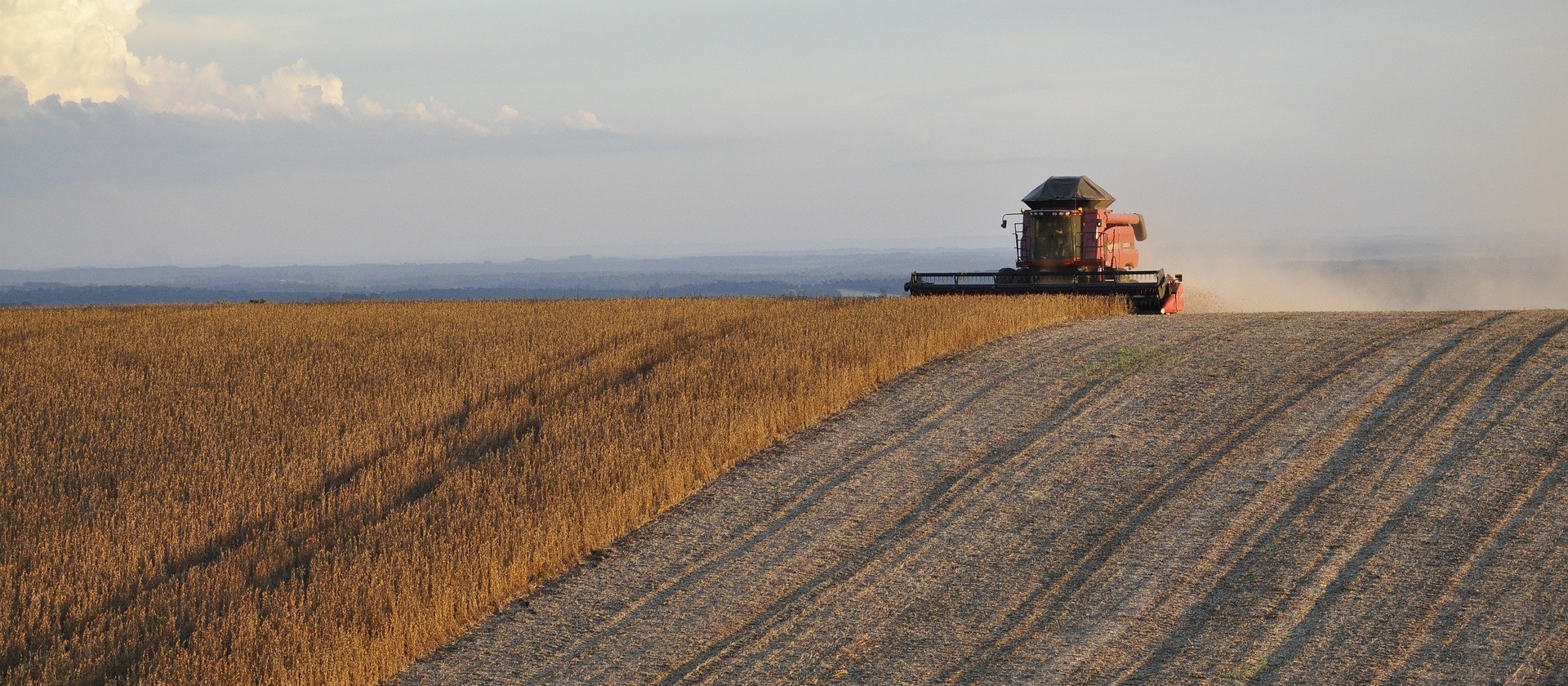 Área coberta com seguro rural já supera 10 milhões de hectares