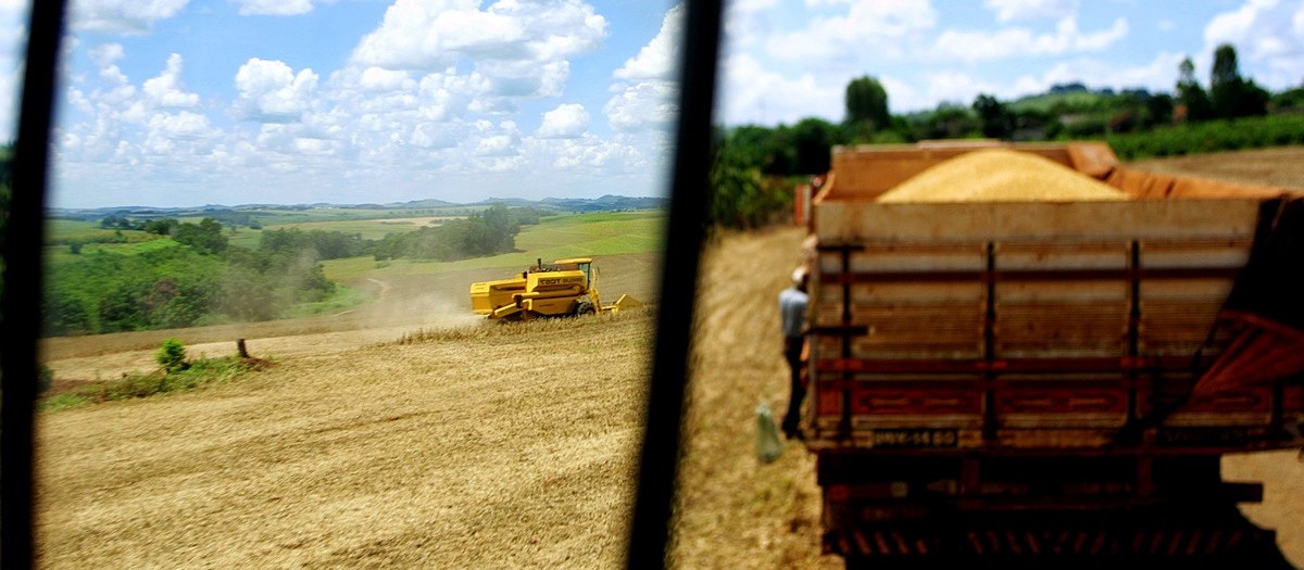 Saca da soja custa 79,50 em Maringá