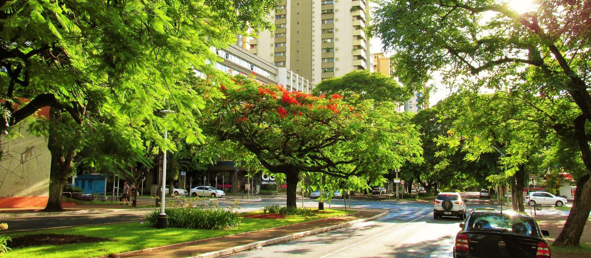 Veja a previsão do tempo para esta sexta-feira (21) e o fim de semana