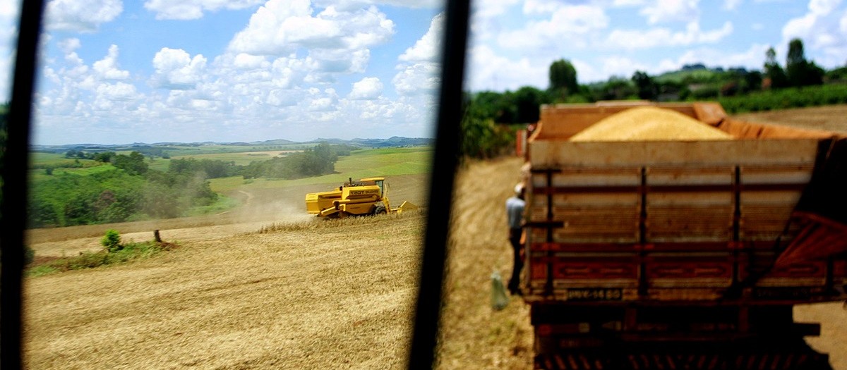 Soja custa R$ 72 em Maringá