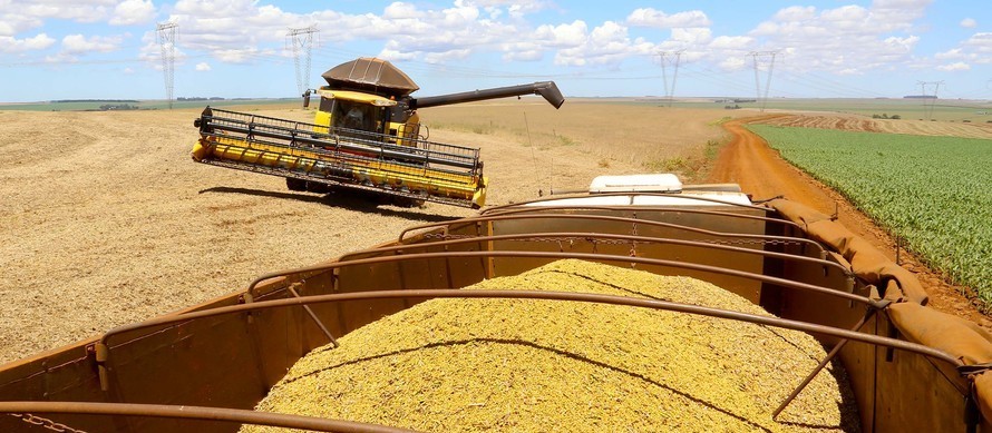 Comercialização da safra de soja avançou pouco no mês de março