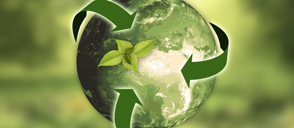 Cooperativas de crédito implementam políticas de sustentabilidade