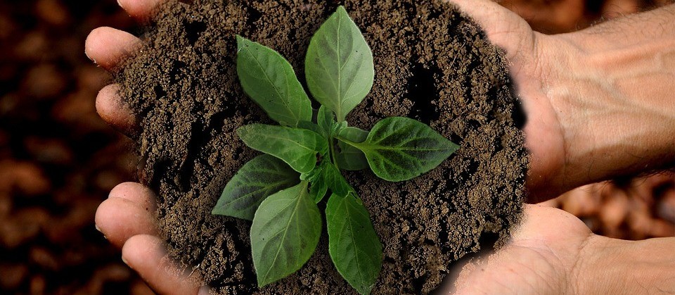 Seminário sobre Soluções baseadas na natureza é realizado em Brasília