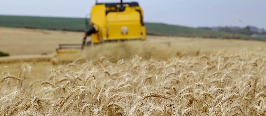 Preço do pão se mantém abaixo da inflação no Paraná