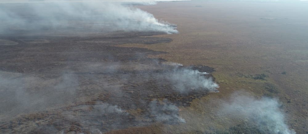 Brigadistas de Brasília chegam para ajudar no combate ao fogo em Ilha Grande