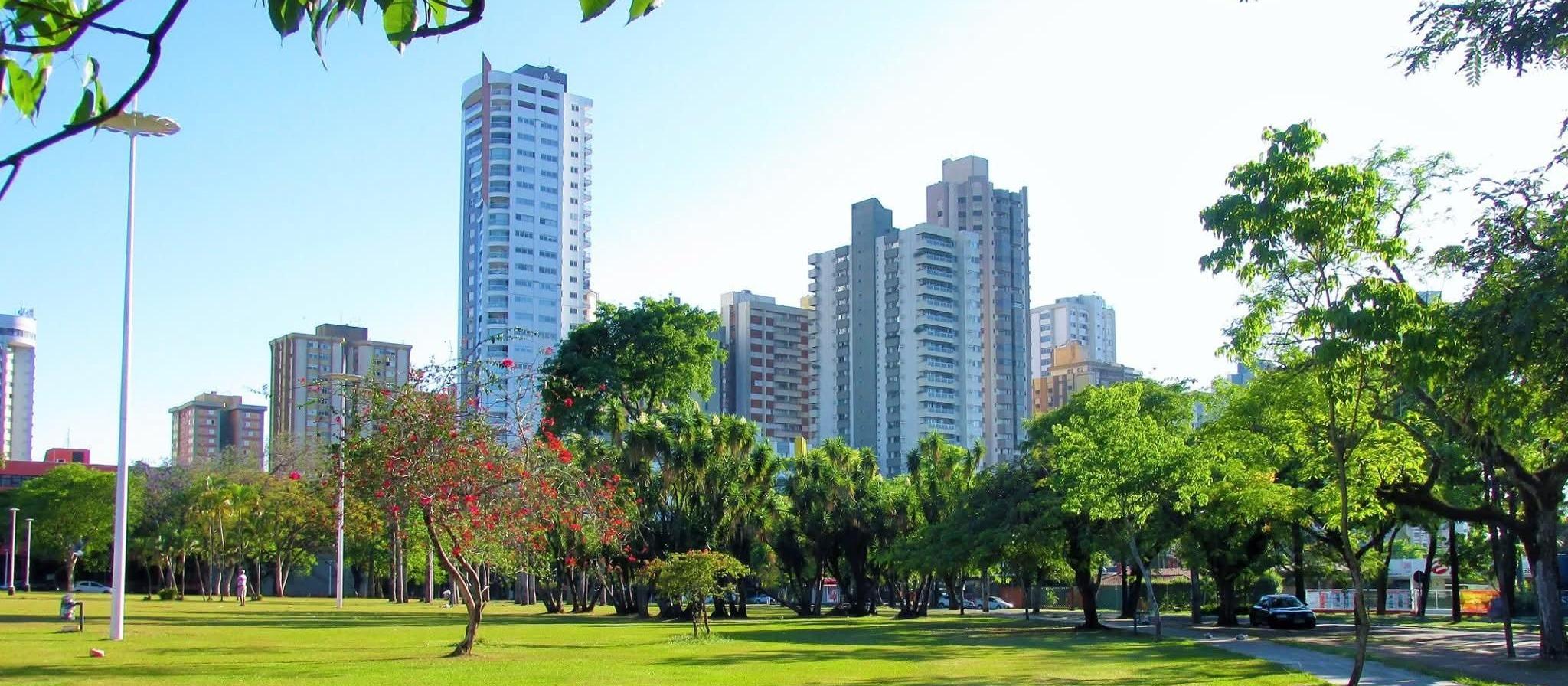 Com chuva prevista nesta terça (4), Maringá terá máxima de 30° C à tarde