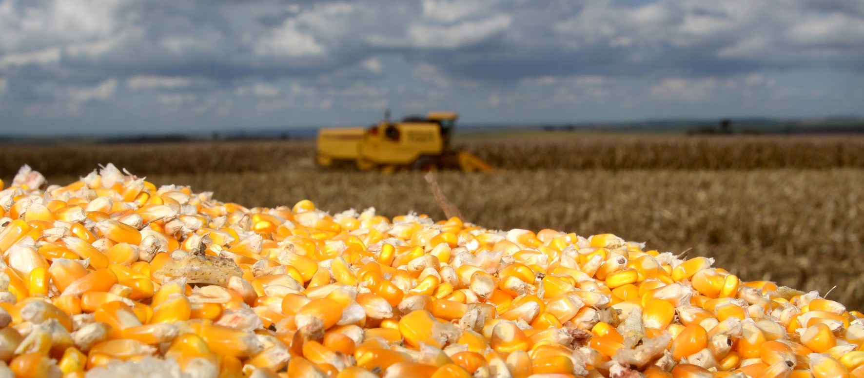 Pouca alteração no mercado agrícola