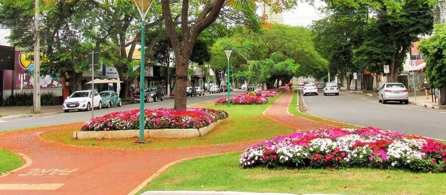 Tempo estável e máxima de 30ºC neste feriado em Maringá