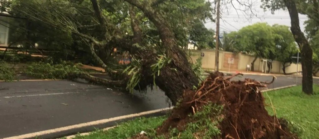 Equipes trabalham na limpeza e desobstrução das vias depois do temporal que atingiu Maringá neste sábado (23)