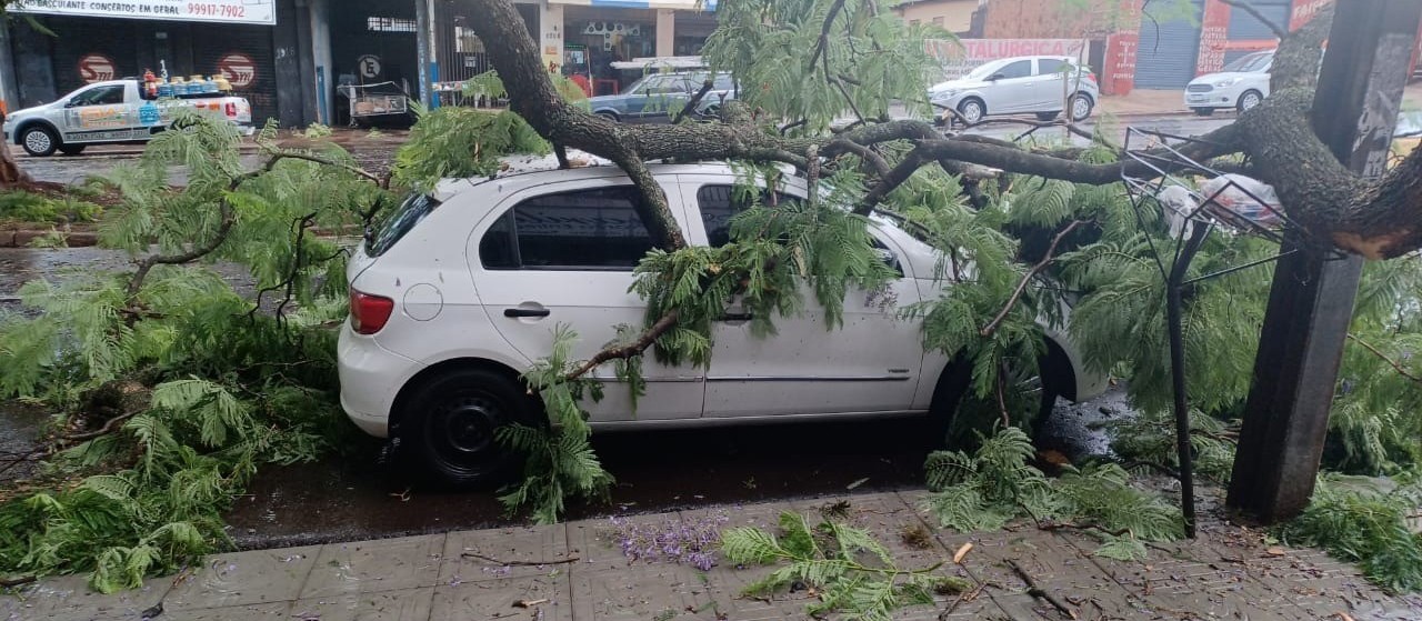 Chuva derruba árvores e provoca alagamentos em Maringá