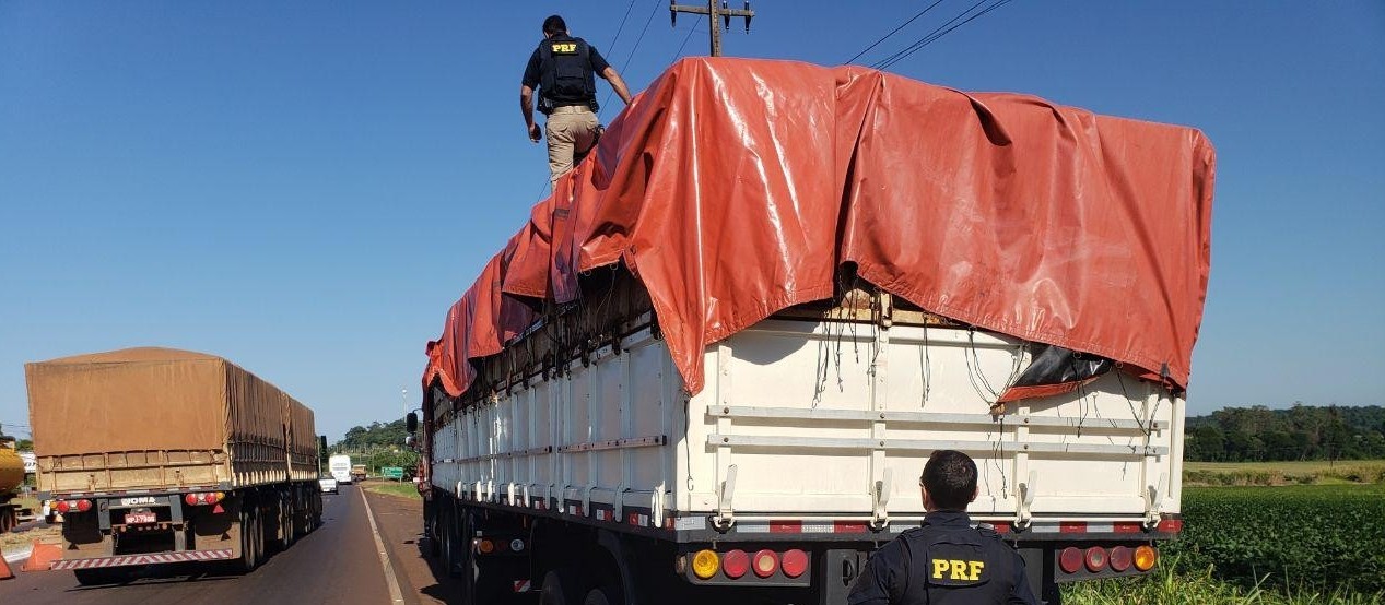 MP e PM cumprem 12 mandados de prisão preventiva no Noroeste