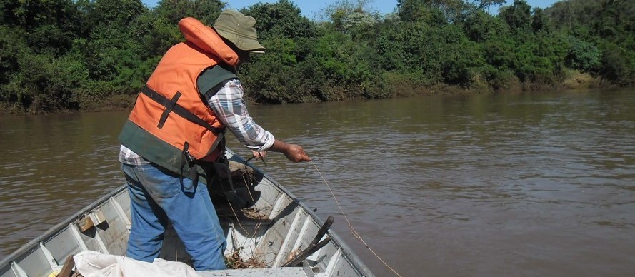 Pesca de espécies nativas volta a ser liberada nos rios do Paraná