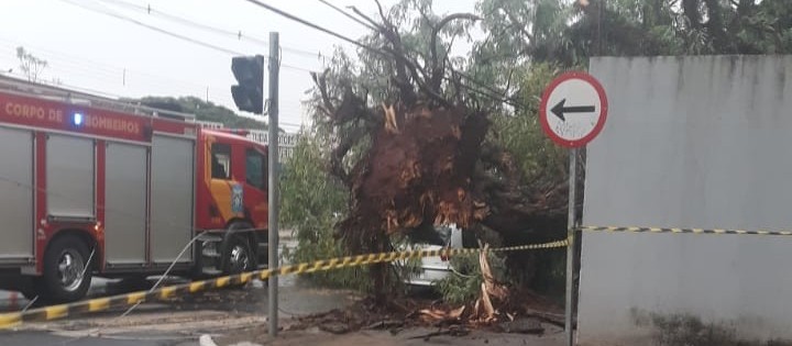 Rajadas de vento chegaram a 72 km/h em Maringá