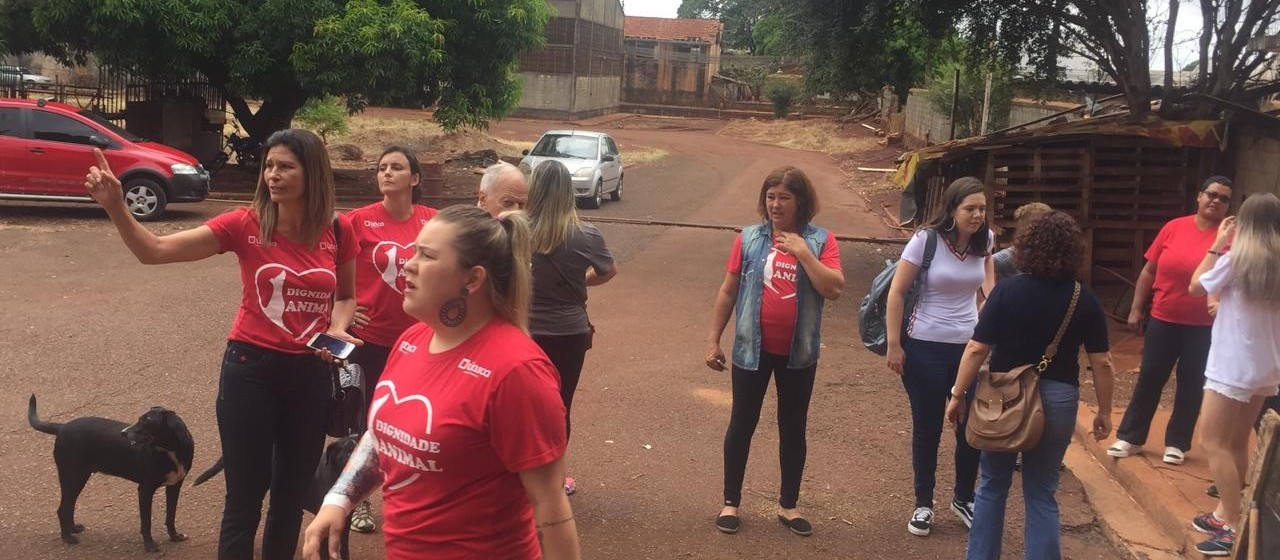 ONG protesta e vereadores pedem ajuda ao MP