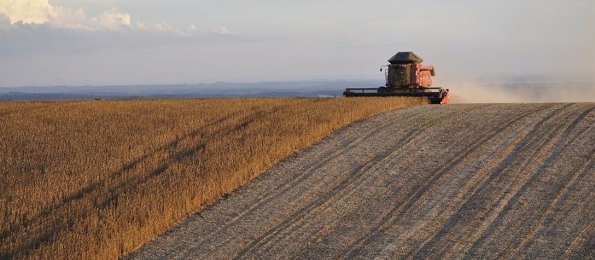 VBP da agropecuária deverá crescer 9,8% em 2020 em relação a 2019