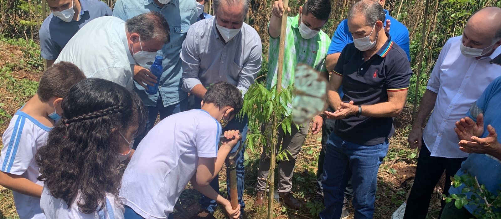 Mais de mil mudas serão plantadas no Parque das Palmeiras