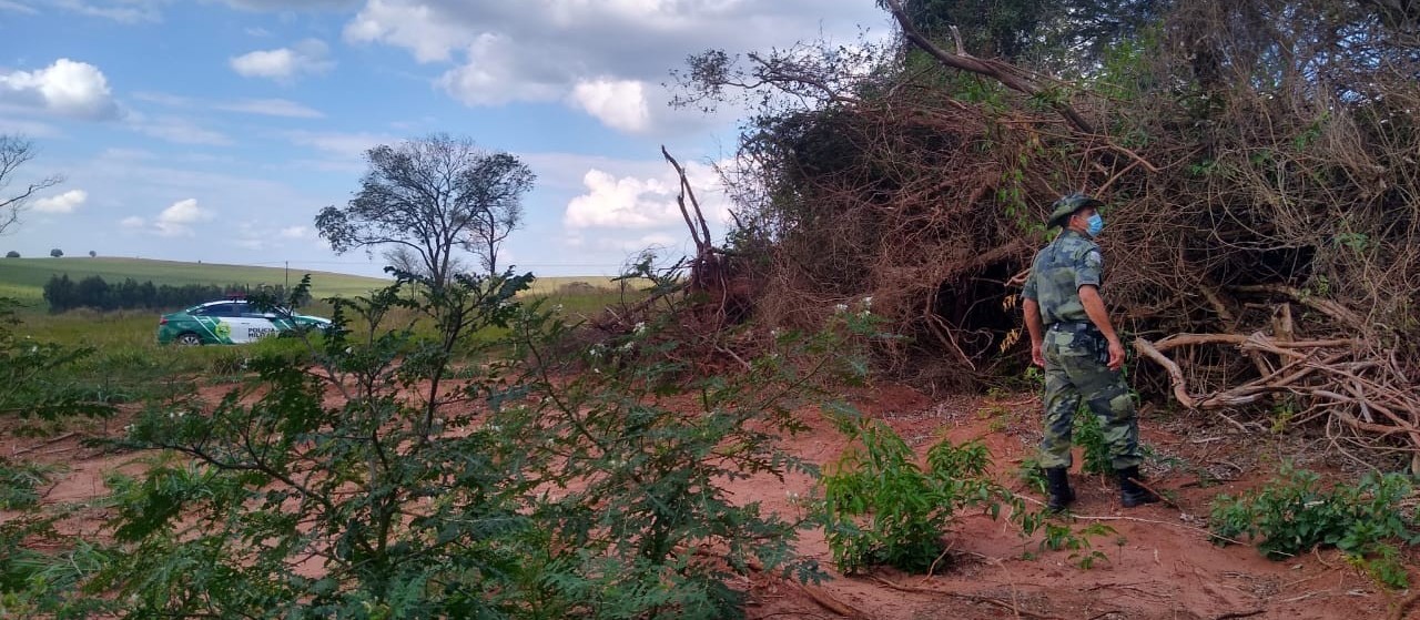 Operação combate desmatamento e apreende objetos de caça a animais silvestres