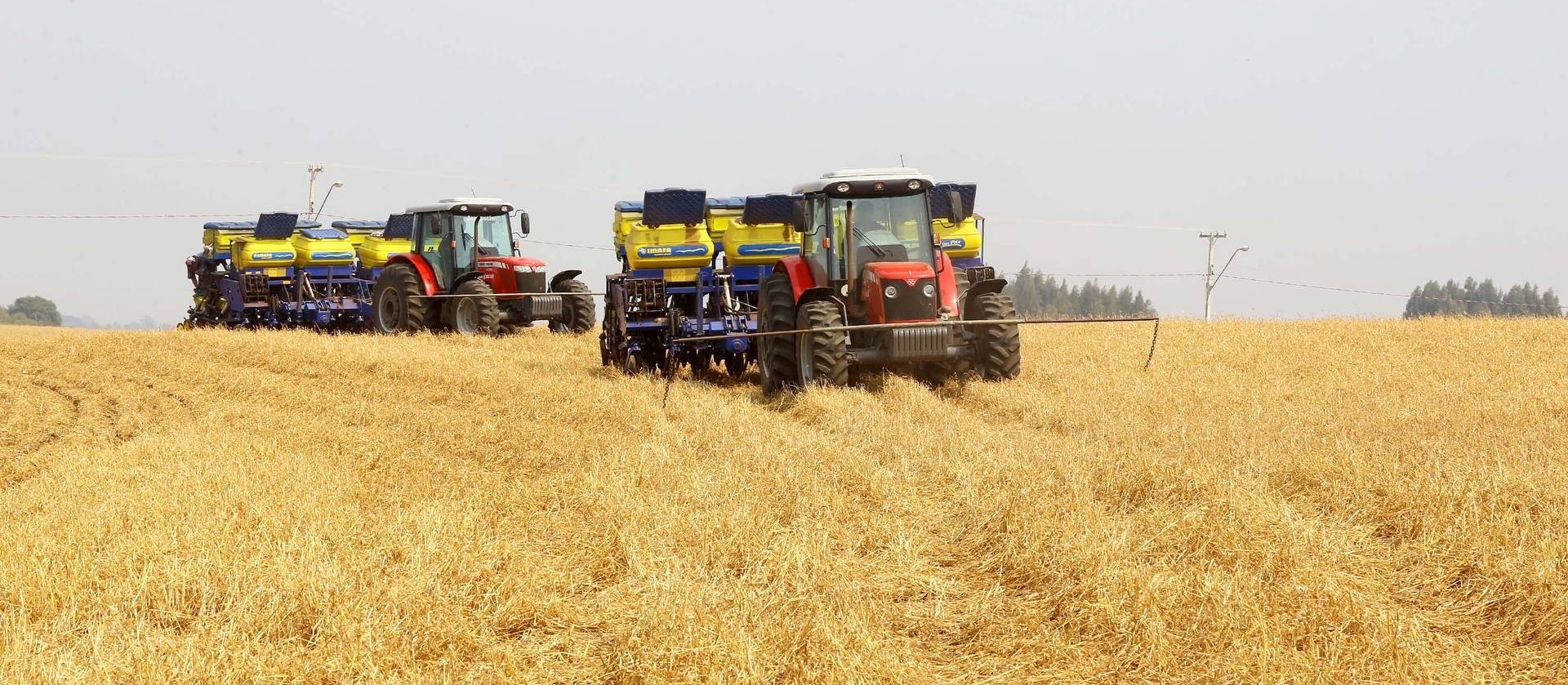 Velocidade do plantio de soja no Brasil é a 2º mais rápida da história