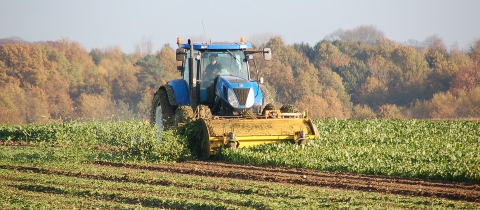 Clima adverso reduz produtividade da safra 2018/2019 da soja 