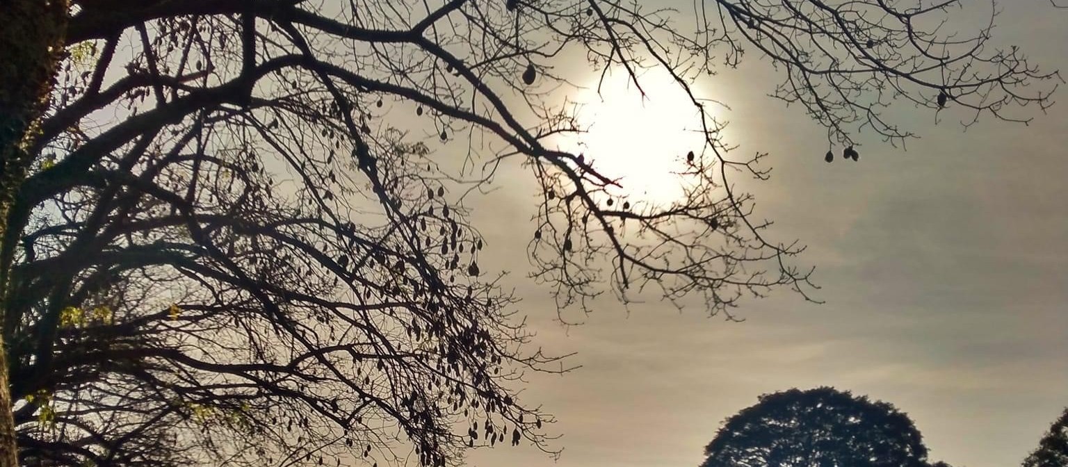 Sem chuvas, Maringá tem sábado com amanhecer gelado